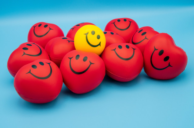 Customer Satisfaction Surveys