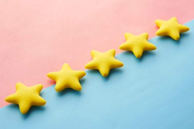 Structured Customer Reviews